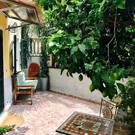 Apartament Little Lemon Garden