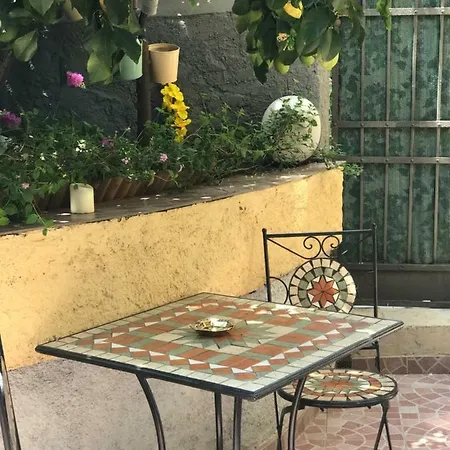 Little Lemon Garden