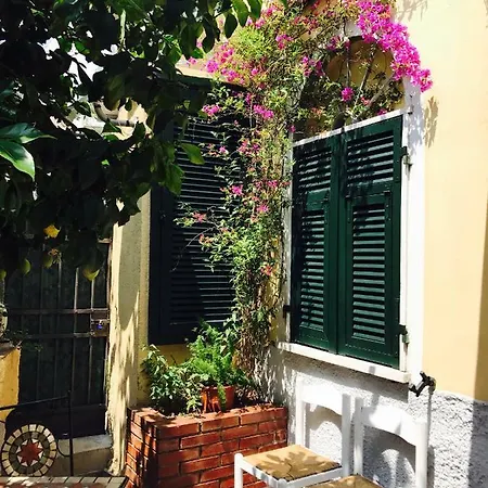 Apartament Little Lemon Garden